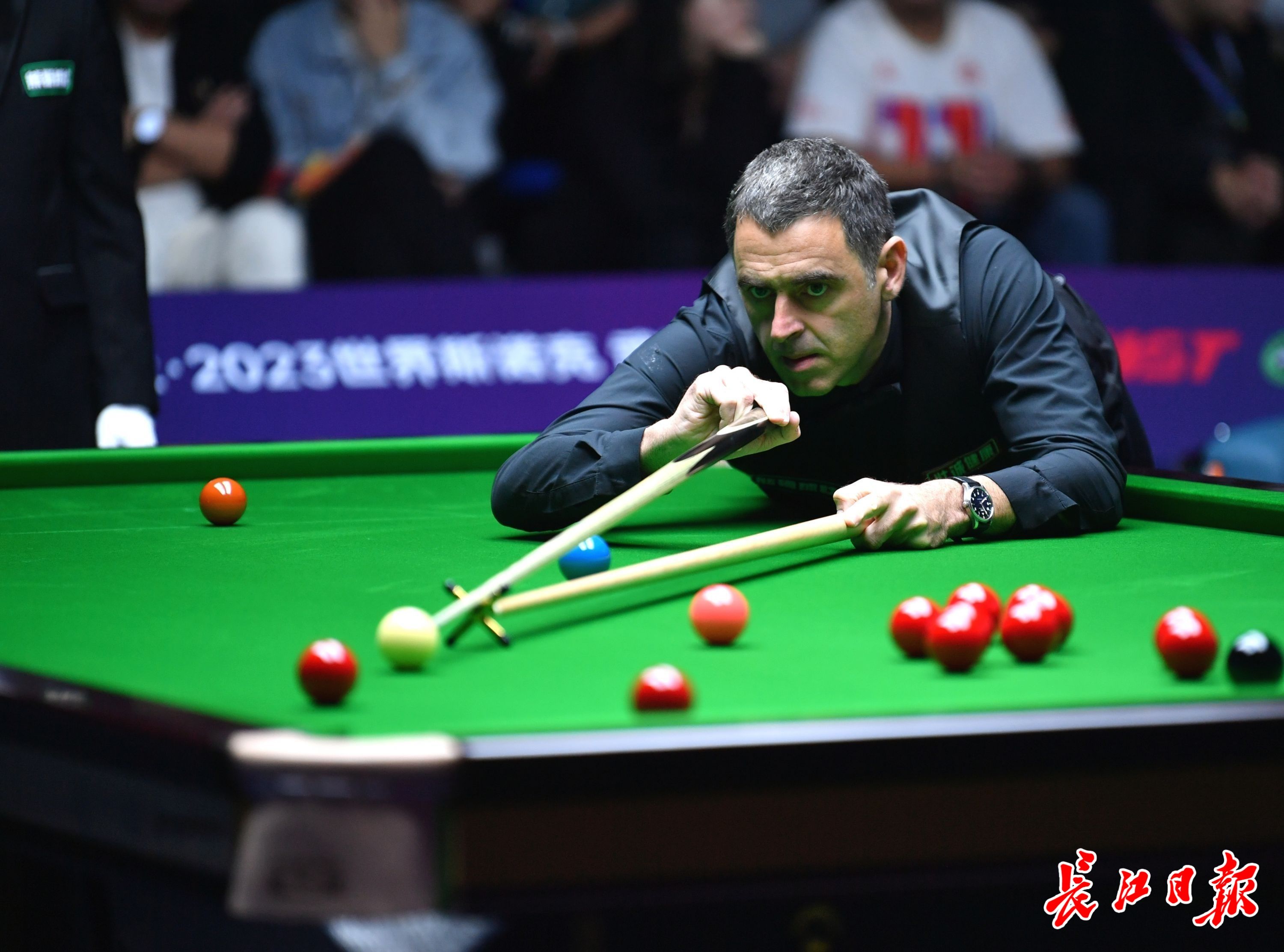 上海男篮在 上海男篮在