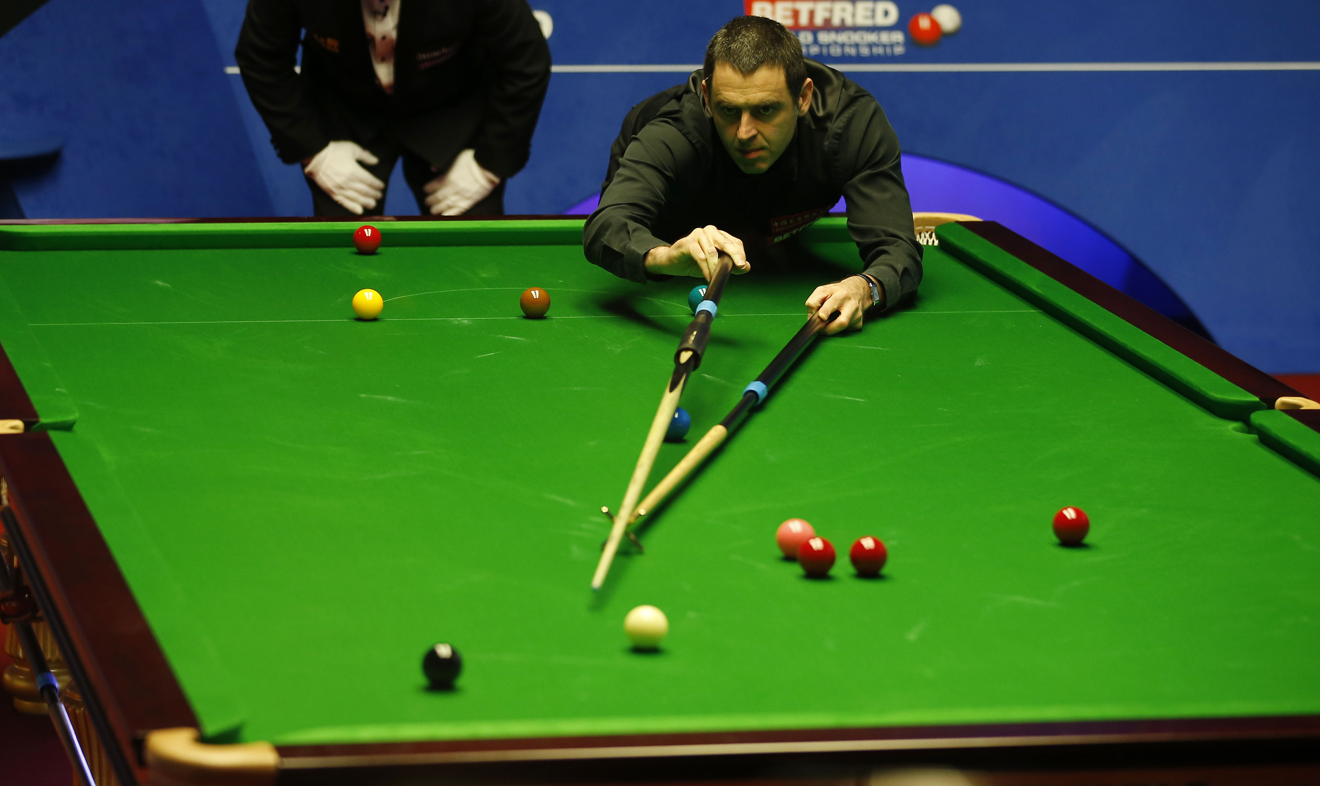 球迷对他是 球迷对他是